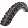 Pneu VTT Schwalbe Magic Mary HS447 Addix Evolution Line [29 X 2.25] - (TS) -Boutique Pneus et Chambres à Air pas cher pneu vtt schwalbe magic mary hs447 addix evolution line 29 x 225 ts